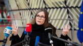 Iceland’s Prime Minister Steps Down to Run for President