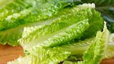 Will Drinking Lettuce Water Really Help You Sleep Better?