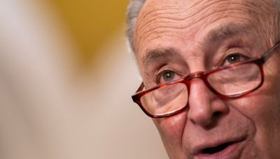 Chuck Schumer Accused Of Staging ‘Fake’ Father’s Day Photo Of Himself Grilling