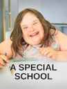 A Special School