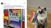 I Am Cackling At These 19 Hilarious Tweets About Pride Month