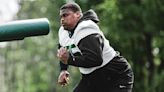 Quinnen Williams Wants to Be a 'Swiss Army Knife' in 2024