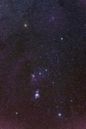 Orion (constellation)