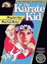 The Karate Kid (video game)
