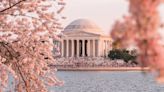 What to see and do in Washington DC in spring
