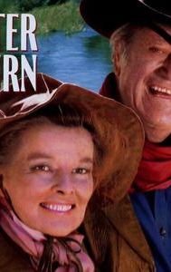 Rooster Cogburn (film)