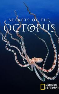 Secrets of the Octopus