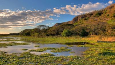 Las llegadas de turistas internacionales a Costa Rica crecen un 16,8% en el primer trimestre de 2024