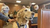 St. Clair County's first courthouse advocate dog retires