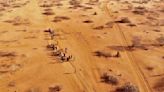 Reporte: Unos 43.000 murieron en sequía en Somalia en 2022