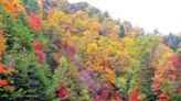 Here’s where you can see the leaves change colors in Georgia this fall