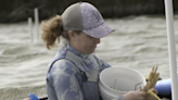 NASA program aims to help fix lagoon woes. What you need to know.