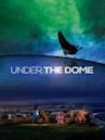 Under the Dome