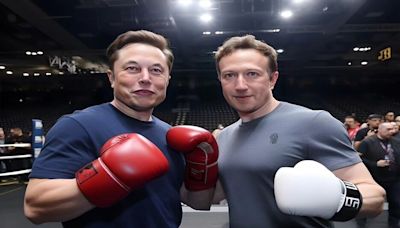 'Any place, any time, any rules': Elon Musk still insisting on fighting Meta CEO Mark Zuckerberg