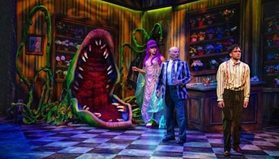 PCPA's Little Shop of Horrors is big, bold, and bloody brilliant