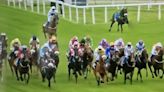 Horse dies after grim injury at York Racecourse as viewers sickened
