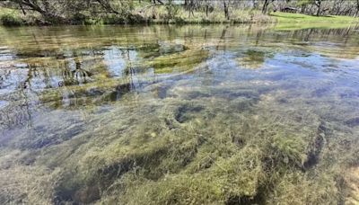 TCEQ deals blow to Liberty Hill, ordering wastewater treatment plant to lower amount of phosphorus discharged into San Gabriel River