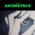 "The Animatrix" Kid's Story