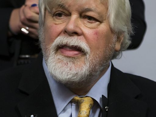 La vista sobre extradición del activista y defensor de ballenas Paul Watson será en agosto