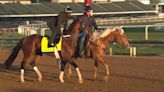 Asmussen aims for first Derby win with 'Track Phantom'