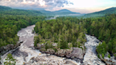 'Take it down and they'll return': The stunning revival of the Penobscot River