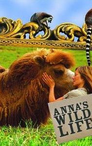 Anna's Wild Life