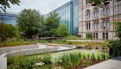 ‘You travel five million years a metre’: inside the Natural History Museum’s mind-boggling new garden