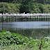 Bird City (wildfowl refuge)