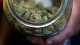 Marlborough cannabis dispensary wants longer hours. City seeks uniform solution