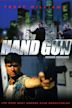 Hand Gun