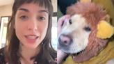 María Becerra mostró el look de sus perros y llenó de ternura las redes