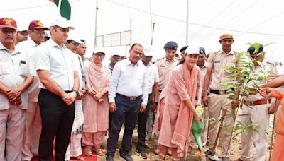 Mini forest for Rohtak;10,000 saplings being planted on Jind-Gohana road