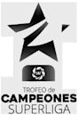 Trofeo de Campeones de la Superliga Argentina
