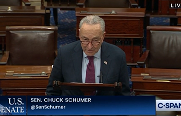 Schumer to Invite Netanyahu to Address Congress After Calling for His Ouster