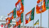 BJP names state in charges, presidents