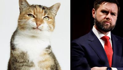 FYI, JD Vance Isn't The First Man To Resent Cat Ladies — They've Always Been Politicized