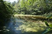 Trap Pond State Park