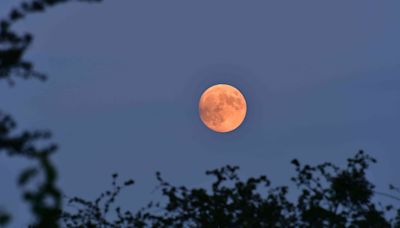 Here’s What To Know About Tonight’s ‘Strawberry Moon’