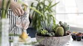 Viral Plant Hacks You Didn’t Know You Needed—All With Ingredients in Your Home