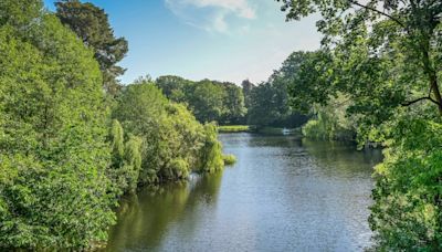 Der Welt-Klima-Ticker von FOCUS online Earth - Fische in Berliner Stinke-See bekommen jetzt neue Luft zum Atmen