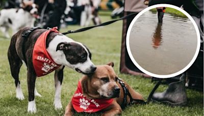 County Durham event cancelled after venue underwater following heavy rain