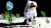 Scientists Grew Plants in Lunar Soil for First Time Ever