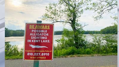 Possible alligator sighting at Kent Lake prompts warnings at Kensington