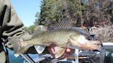 Smith: Choices galore for Wisconsin anglers on general inland fishing opener