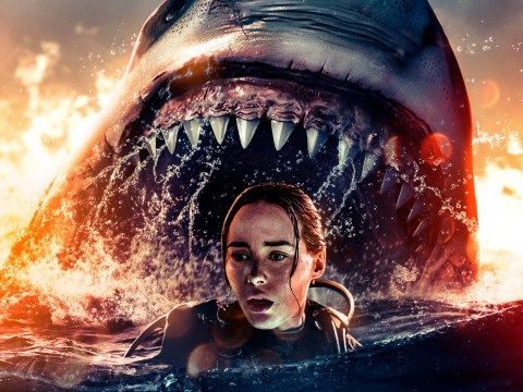 The Last Breath Trailer: Shark Movie Is Julian Sands’ Final Movie Role