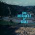 The Miracle of Bali