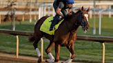 Preakness gets 3 horses confirmed, but Mystik Dan uncertain