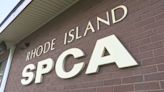 Rhode Island SPCA offers reward for information on dead dog found on Barrington beach