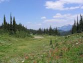 Mount Revelstoke National Park