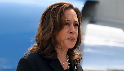 Kamala Harris gets polling boost before naming her VP